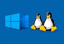 云服务器Windows与Linux，深度解析与应用场景