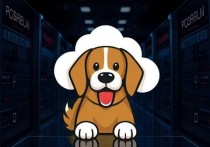 狗云服务器怎么选？全面解析服务器选择指南