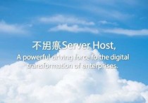 浪潮云服务器主机，助力企业数字化转型的强劲引擎