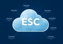 ESC云服务器是什么？深度解析其功能与应用场景