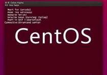 Linux CentOS云服务器挂载存储设备的详细指南