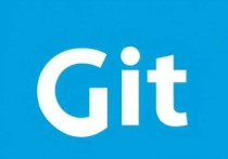 在阿里云服务器上搭建Git环境的详细指南