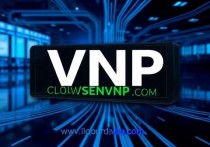云末VNP服务器网址，助力企业高效安全的网络解决方案