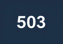 阿里云服务器报错503怎么办？全面解析及解决方案