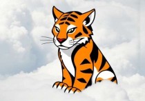 Tomcat在云服务器上的部署与优化指南