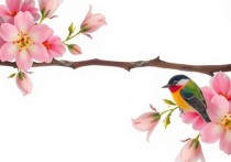 徐州如何选择合适的云服务器，实用指南