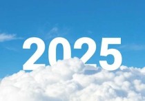 2025年云服务器市场哪家强？谁家云服务器好点啊？