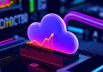 云服务器1 Mbps带宽，性能解析与优化建议