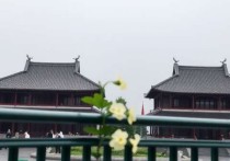 阿里云服务器硬件厂商，技术实力与市场影响深度解析