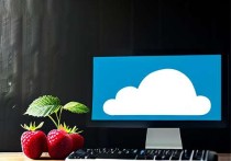 用树莓派打造个人云服务器，低成本高效率的解决方案