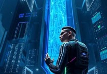 探索云服务器的极限，解析2025年最大的云服务器