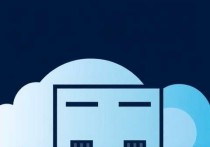 云会议服务器端口的重要性及优化策略