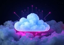 萤石云服务器版本，助力企业数字化转型的高效解决方案