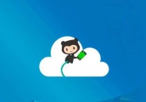 高效利用云服务器下载GitHub项目，完整指南