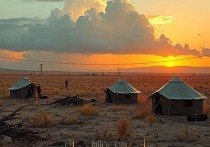 饥荒与云服务器，数字化时代的生存与机遇