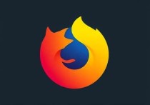 在云服务器上安装浏览器，实现高效远程操作的实用指南