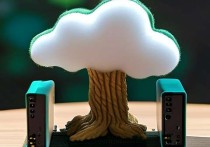 云服务器与树莓派，打造高效智能的计算新生态