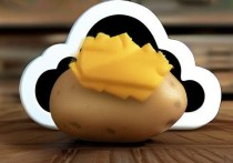 土豆云服务器更新失败，问题分析与解决方案