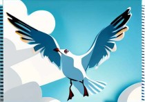 海鸥云连接服务器失败，问题排查与解决方案全解析