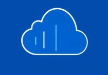 Windows云服务器上网指南，全面解析配置与优化