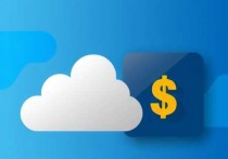 云服务器租赁价格解析，最高租金是多少？