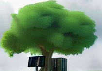 树莓派与阿里云服务器，打造高效智能的物联网解决方案