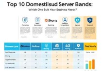 国内十大云服务器品牌盘点，哪家更适合你的业务需求？