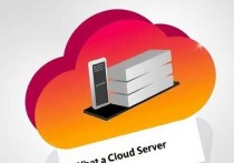 什么是云服务器网卡，全面解析与应用场景