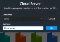 选择适合的云服务器，svn部署的最佳实践