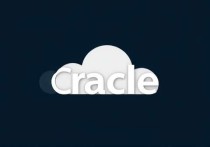 华为云服务器装oracle，详细指南与优化建议