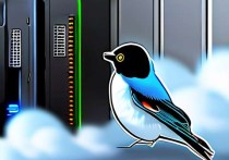 小鸟云服务器，专业商业领域的云端利器