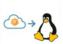 Linux连接云服务器程序，全面指南