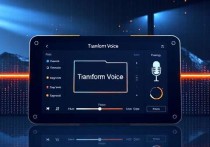 云服务器变声器使用指南，轻松实现声音变换