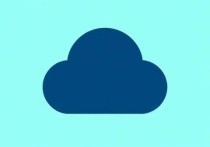 云服务器wget怎么用，新手必看的详细指南