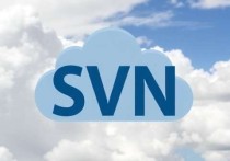 SVN云服务器选择指南，如何为您的项目找到最佳解决方案