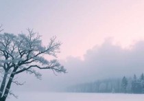 白度云服务器租借，高效、安全、可靠的云服务解决方案