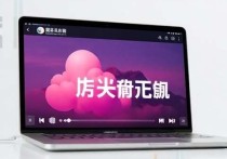 网易云服务器发生错误的常见原因及解决方案