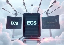 云服务器ECS包月，高效稳定的云端解决方案