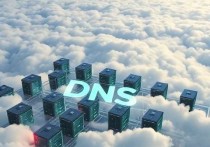DNS服务器云空间高，高效管理与优化策略
