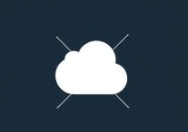 太极云服务器登录失败的原因及解决方法