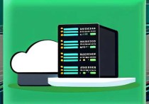 自有云服务器是什么？全面解析与应用场景