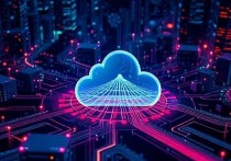拉萨云服务器网速，现状、影响与优化建议
