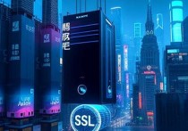 阿里云服务器有SSL，安全与性能的双重保障